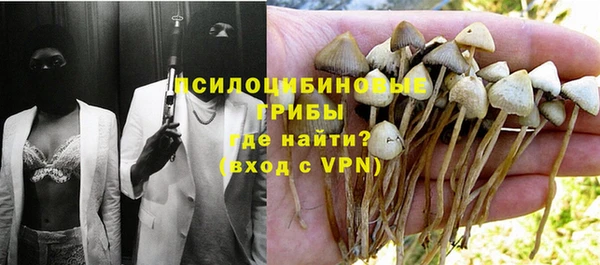 каннабис Арсеньев