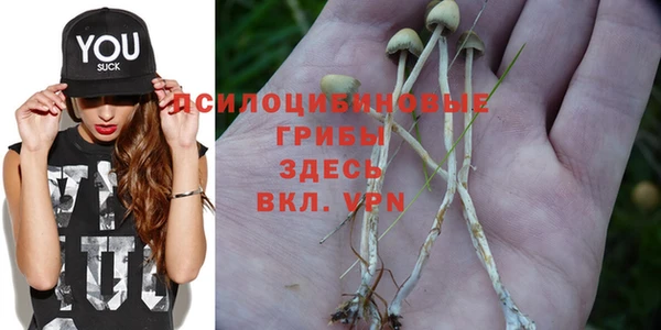 мескалин Аркадак